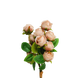 Artificial Peach Rose Bunch (6 Nos)