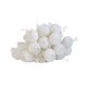 Artificial White Ranunculus Flowers (6 nos)