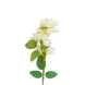 Ivory Bloom Stem Flower - 6 nos