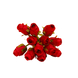 Artificial Red Roses (6 nos)
