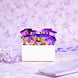 Choco Pop Purple Box