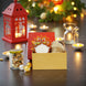 Kumkum Glow Box